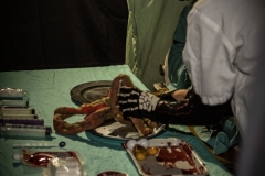 Halloween-Koningshof-2022-061